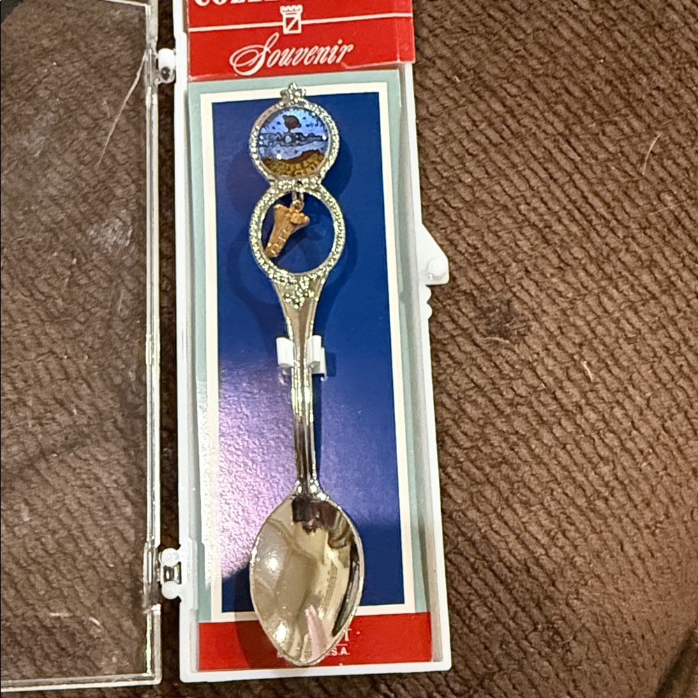 Souvenir Silver Spoon